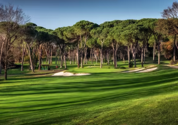 Golf photo 4